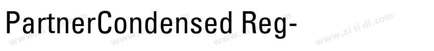 PartnerCondensed Reg字体转换